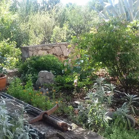 Guest house Meri
